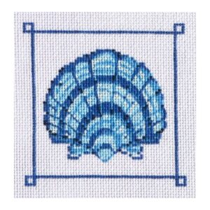 Blue Banded Scallop Shell