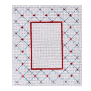 Frame - Coral and Blue