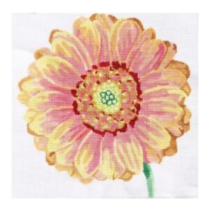 Sunset Daisy